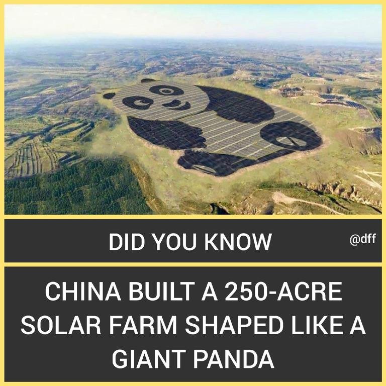 Panda Power Plant...