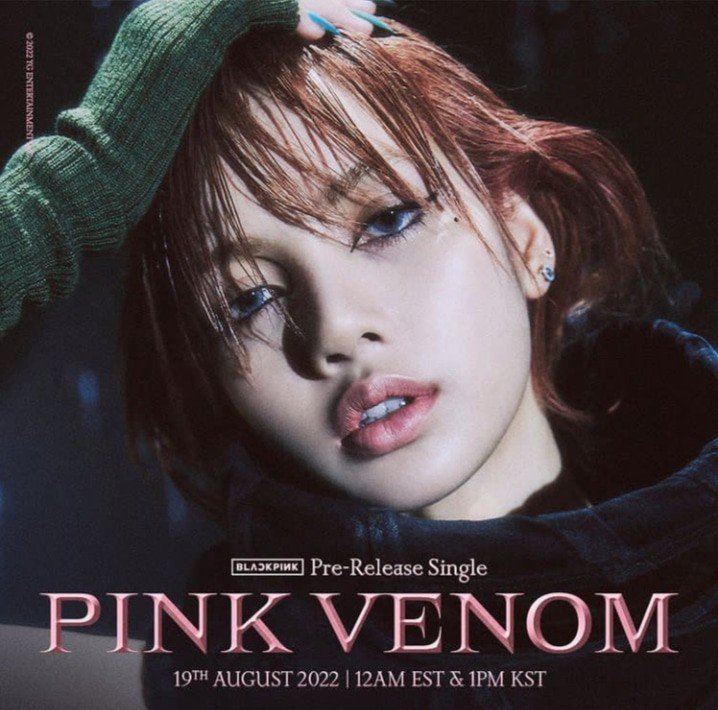 pink venom 19/08/2022
