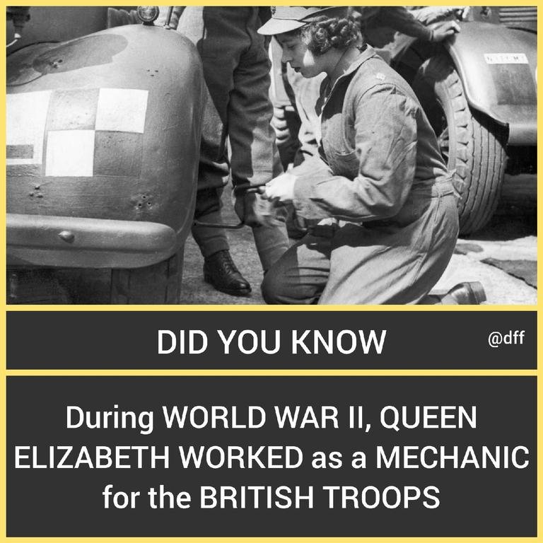 Elizabeth Worked As...