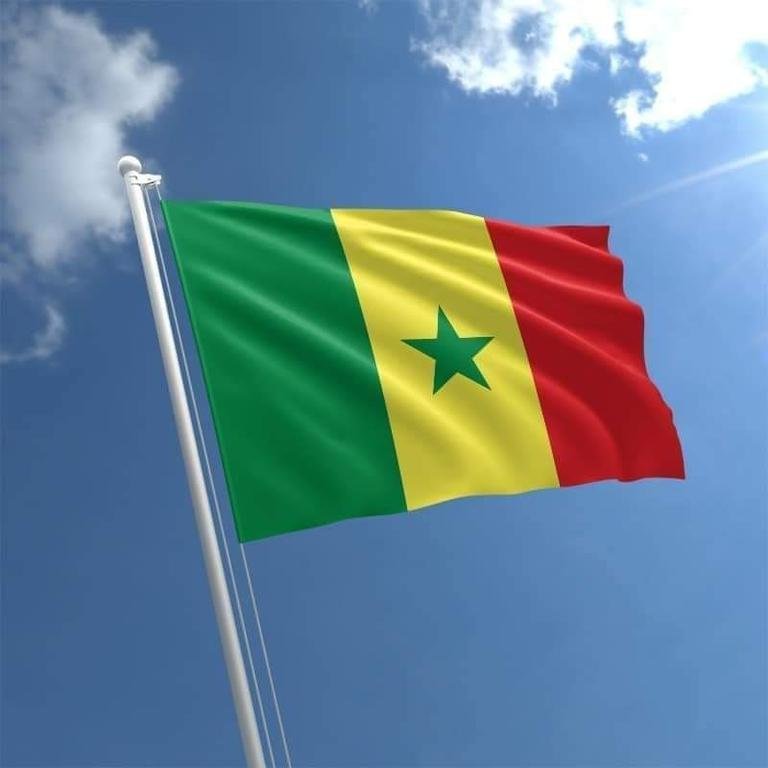 ##السنغال تعتمد رسميًّا...