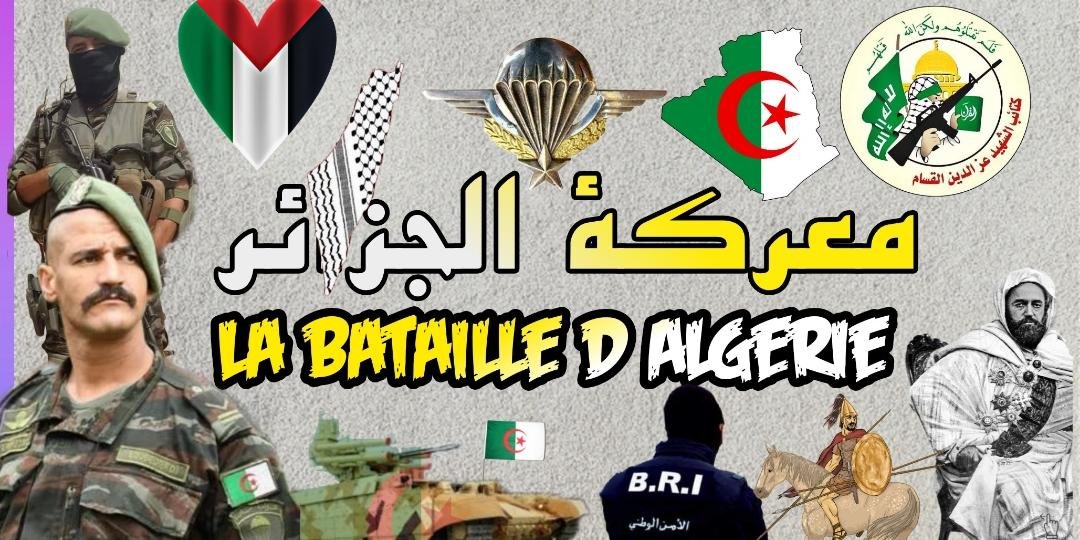 معركة الجزائر 