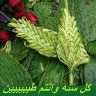 عبدالحكيم بهاء الدين