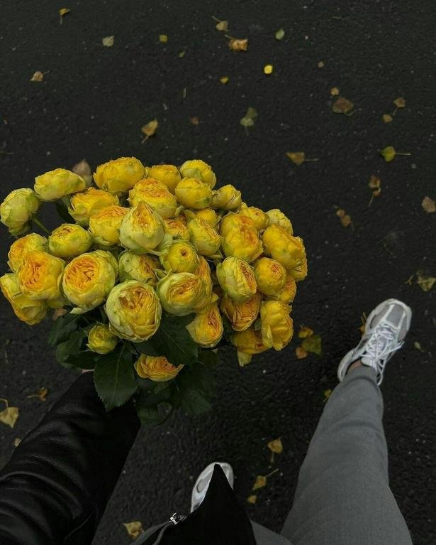تحبون الورد الأصفر؟؟...