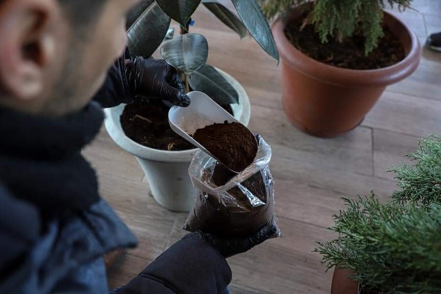 عبد الله الصفدي يستخدم رواسب القهوة كسماد للنباتات في مدينة غزة. يروج عبد الله الصفدي، شاب من غزة في العشرينات من عمره، لإعادة تدوير رواسب القهوة إلى سماد عضوي في مجتمعه.