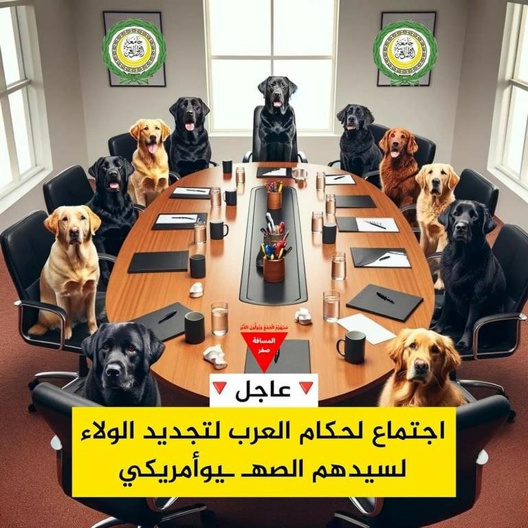 كلاب العرب حكامها...