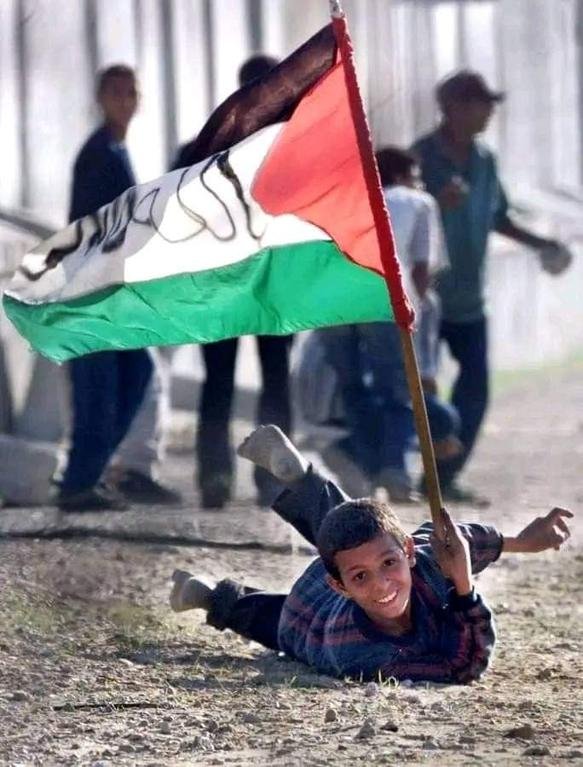 فلسطين_لن_تموت