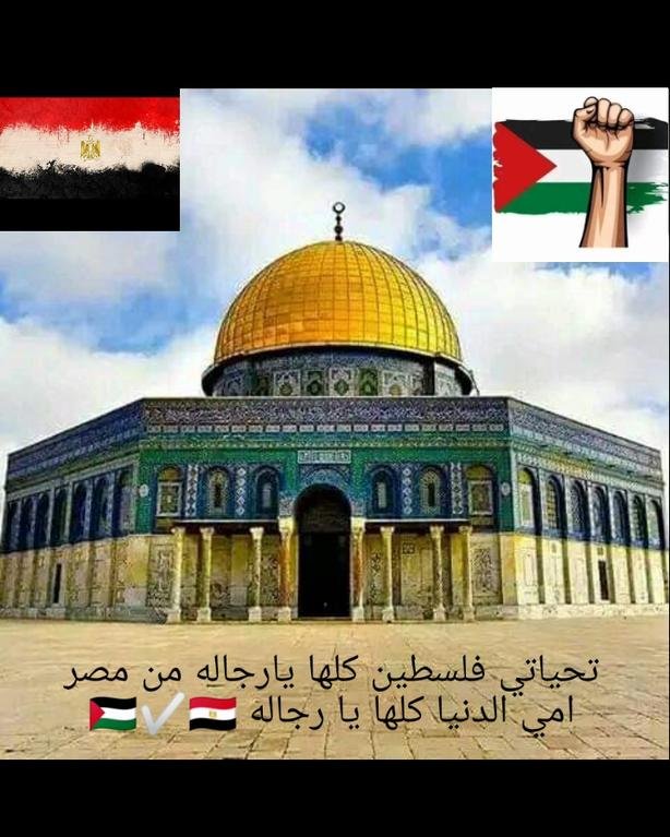 تحياتي فلسطين كلها...
