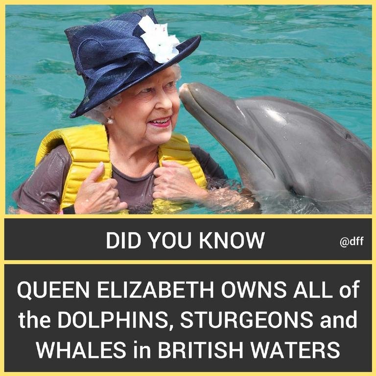 Queen Elizabeth Owns...