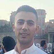 Ayman Saied