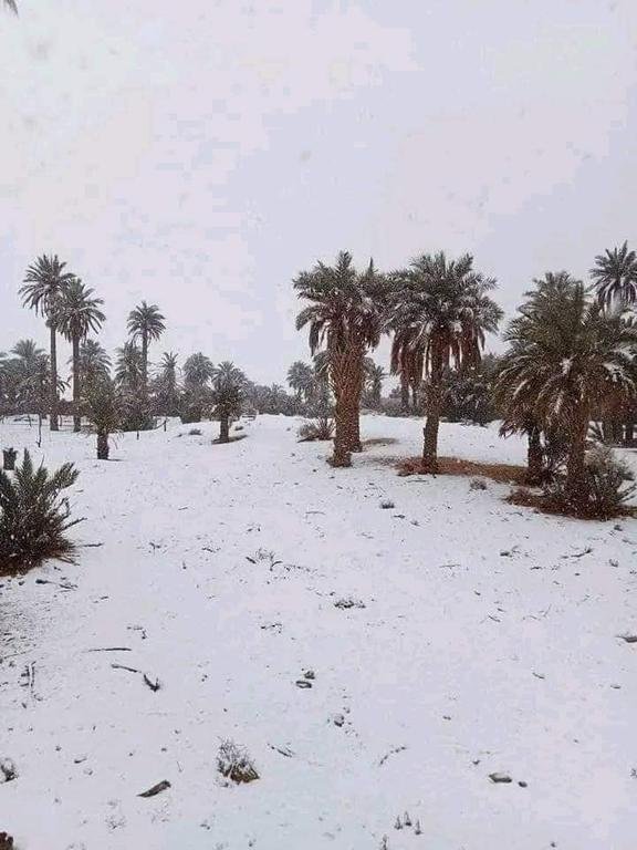 صحراء الجزائر هذه...