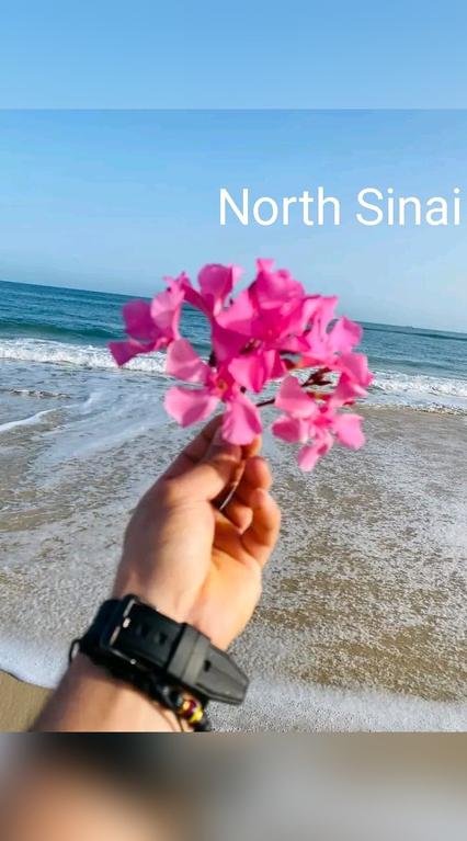 North Sinai شمال...