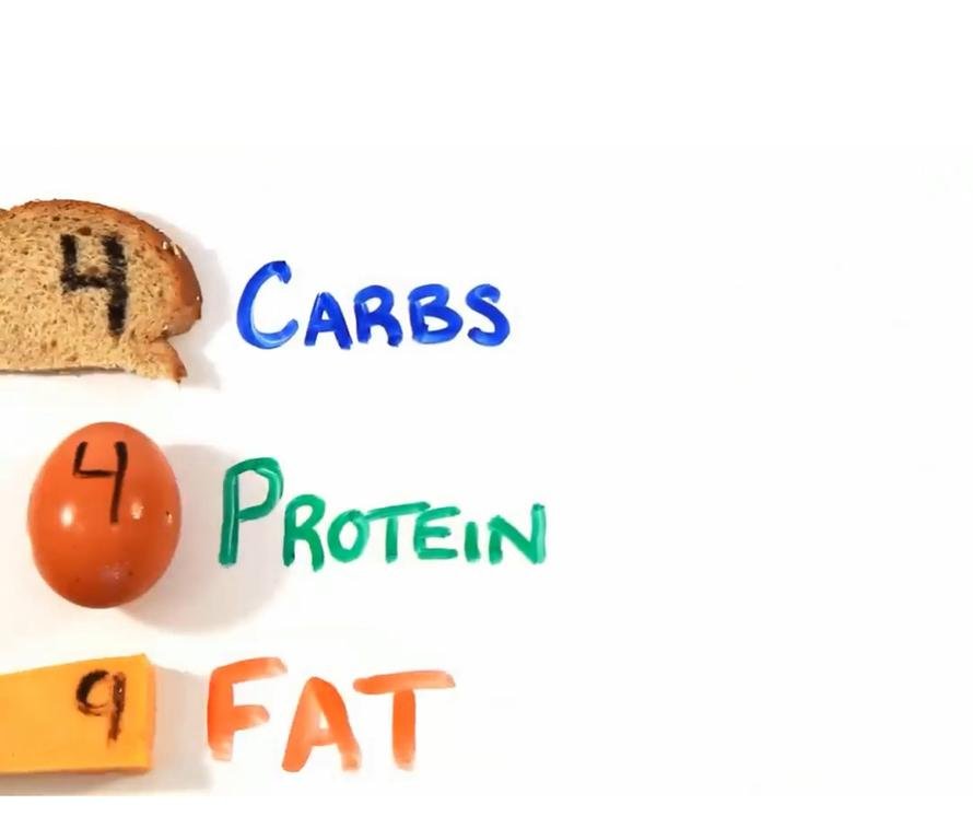 https://youtu.be/KCDI4xfdLIU?si=pNqSL0TXVBshZ3GP#كالوري #calories