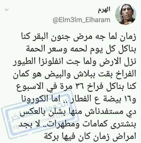 يعني بالمثل العراقي...