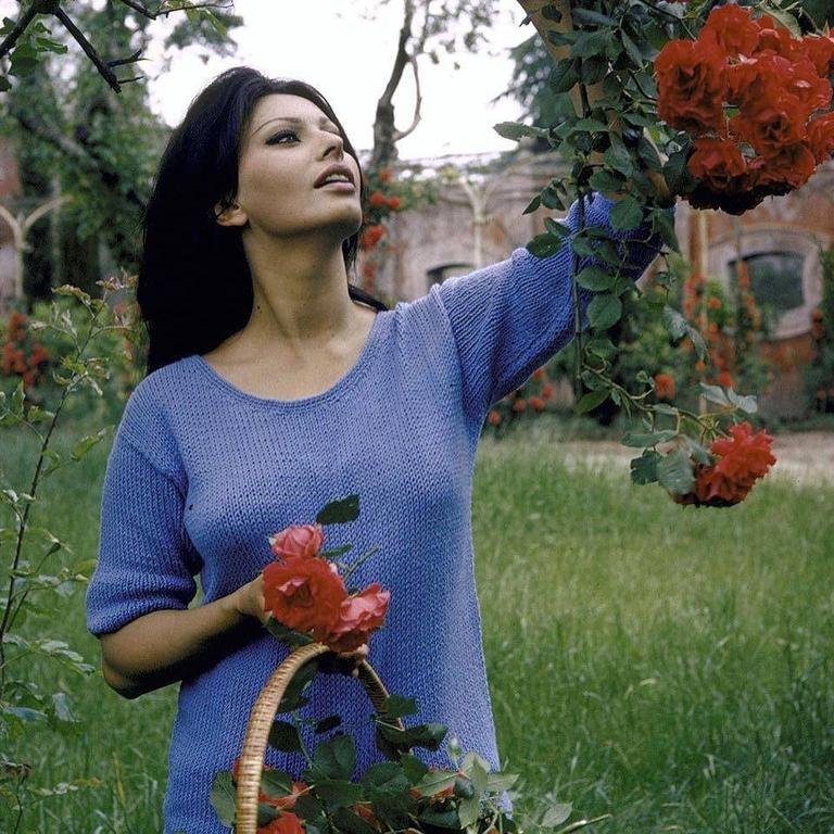 Sophia Loren picking...
