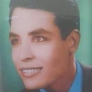 محمود حشيش