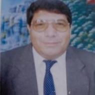 Samir Elseahemy