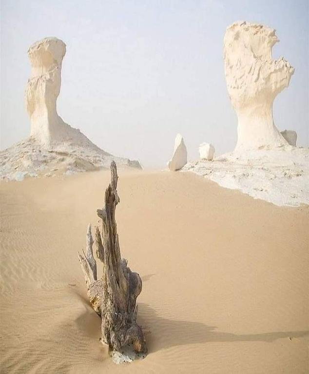 محمية الصحراء البيضاء بمحافظة الوادى الجديد ❤😍الصحراء البيضاء White Desert، هي محمية طبيعية إلي الشمال من واحة الفرافرة، مصر، على مسافة حوالي 500 كيلومتر من القاهرة ولقد تم إعلانها محمية طبيعية عام 2002 ، سميت بالصحراء البيضاء لأنها تملك اللون الأبيض الذي يغطي معظم أرجائها، وتبلغ مساحتها الإجمالية 3010 كيلو متر مربع ، وتشتهر المحمية بصخرة طباشيرية ضخمة، كما تحتوي على العديد من التشكيلات التي تشكلت نتيجة لعاصفة رملية عرضية ضربت المنطقة.#التاريخ_في_حكايه#هنا_التاريخ#باز_يجمعنا