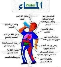فوائد الماء