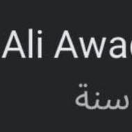 Ali Awada
