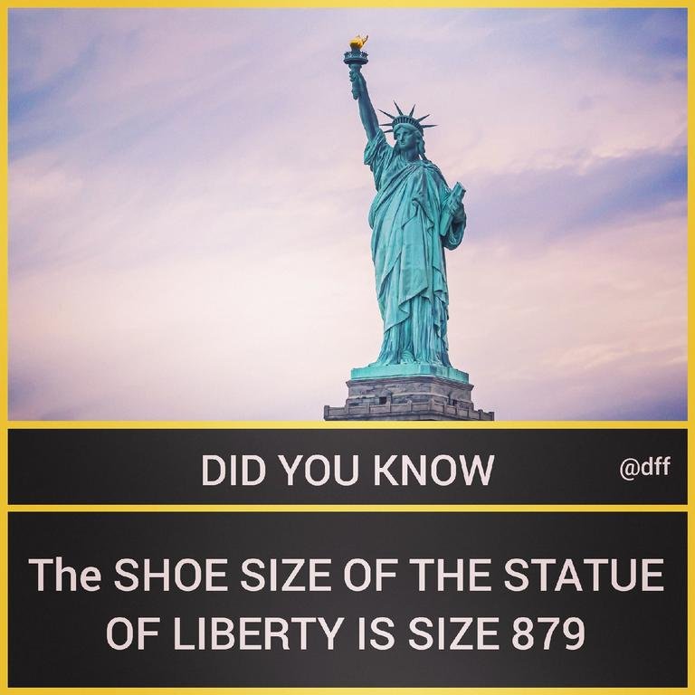 Shoe Size Of...