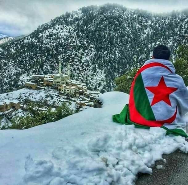 صور لتساقط الثلوج في الجزائر 🇩🇿#باز_يجمعنا #البازيين_الاصليين #الثلوج_في_الجزائر #الطبيعه_حول_العالم