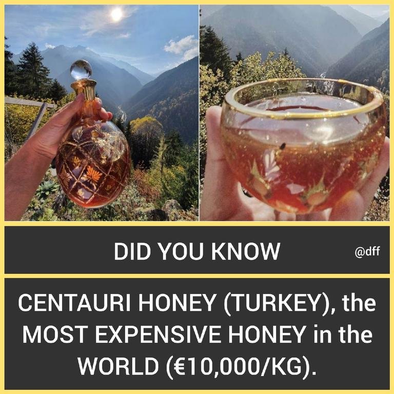 Centauri Honey 🍯...