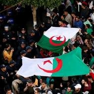 الجزائر و فلسطين