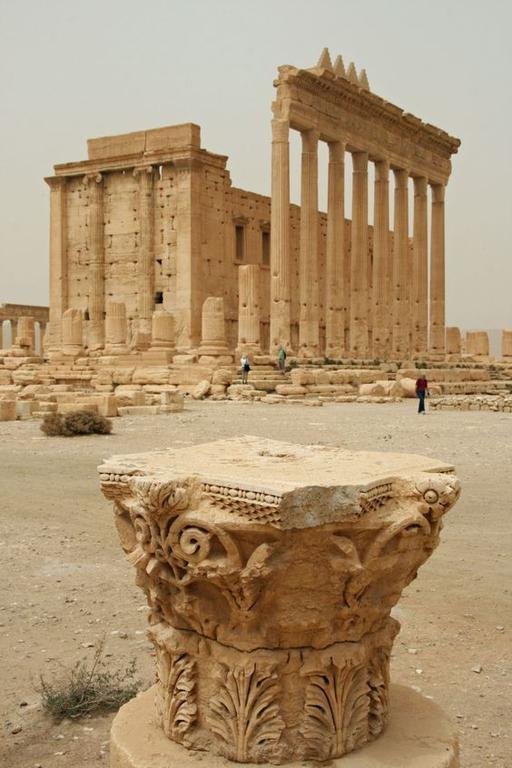تدمر (باللاتينية: Palmyra)...