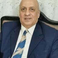 Nasser Elemam