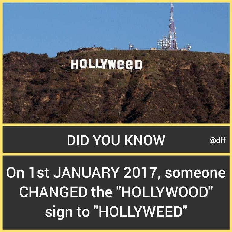 Hollyweed 🎥To...