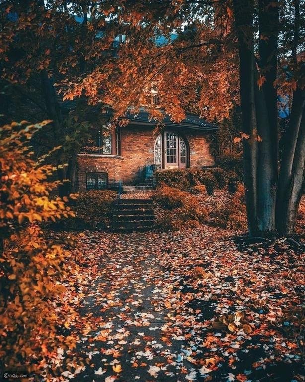 يموت الخريف...ليحيي فصل...