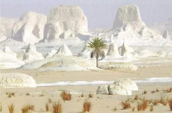 محمية الصحراء البيضاء بمحافظة الوادى الجديد ❤😍الصحراء البيضاء White Desert، هي محمية طبيعية إلي الشمال من واحة الفرافرة، مصر، على مسافة حوالي 500 كيلومتر من القاهرة ولقد تم إعلانها محمية طبيعية عام 2002 ، سميت بالصحراء البيضاء لأنها تملك اللون الأبيض الذي يغطي معظم أرجائها، وتبلغ مساحتها الإجمالية 3010 كيلو متر مربع ، وتشتهر المحمية بصخرة طباشيرية ضخمة، كما تحتوي على العديد من التشكيلات التي تشكلت نتيجة لعاصفة رملية عرضية ضربت المنطقة.#التاريخ_في_حكايه#هنا_التاريخ#باز_يجمعنا