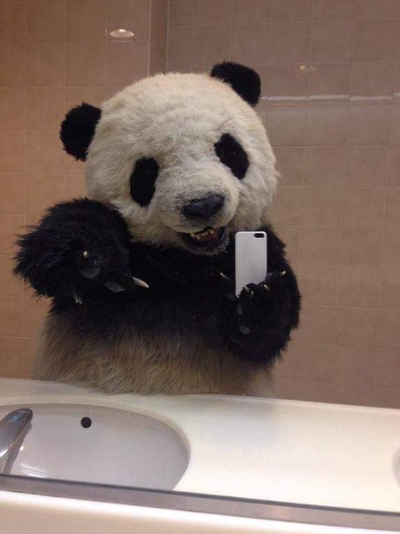 #panda #animals #happy
