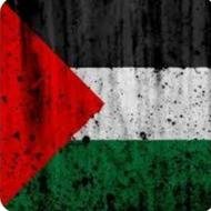فلسطين او لا