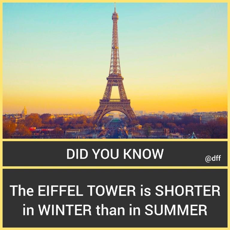 Eiffel Tower 🗼...