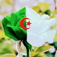 محمد الجزائري