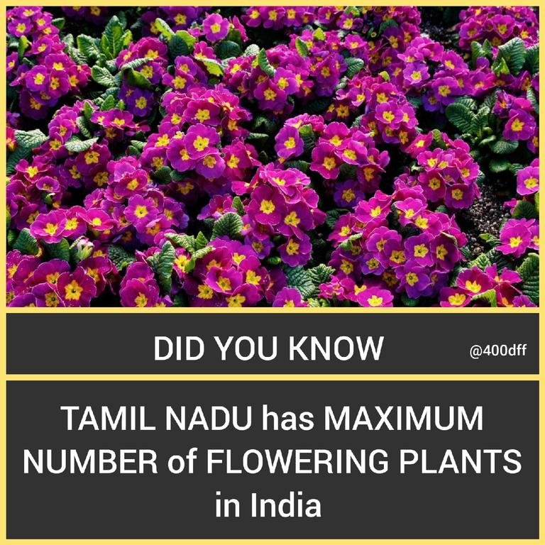 Tamil Nadu Tops...