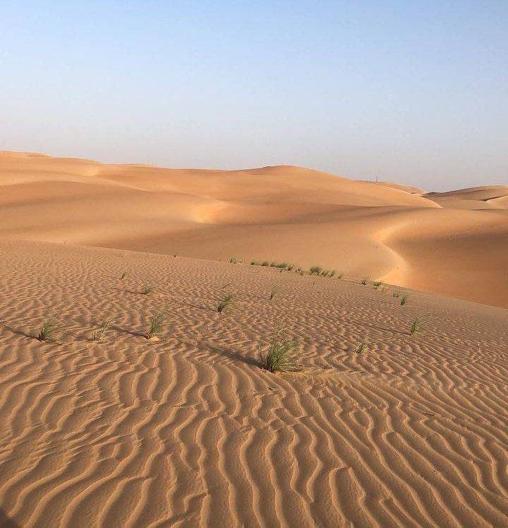 Sunrise in Sahara...