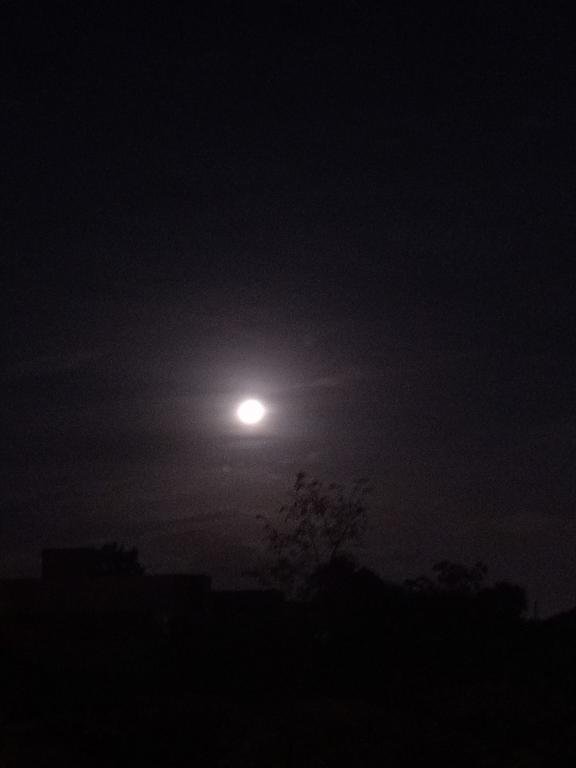 #moon #moon_sky #bluemoon