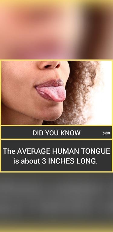 Average Human Tongue...