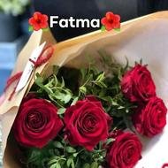 Fatma Elzhra
