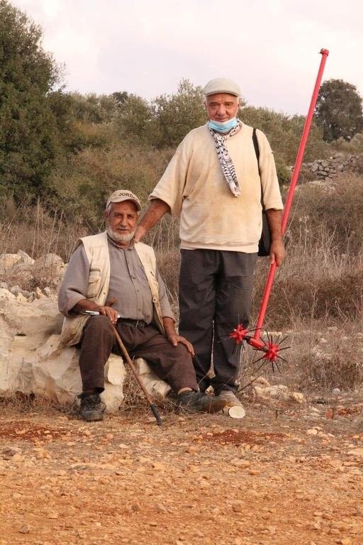 اجواء قطف الزيتون فلسطين