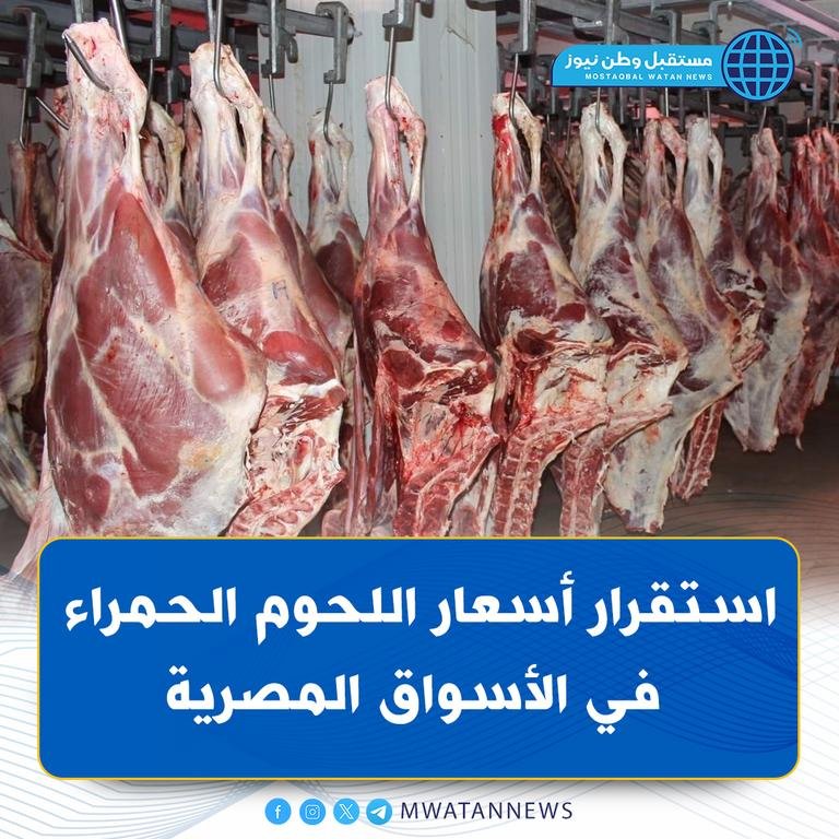استقرار أسعار اللحوم...