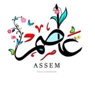 Assem saleh