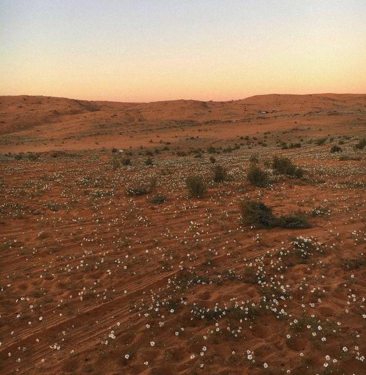 Sunrise in Sahara...