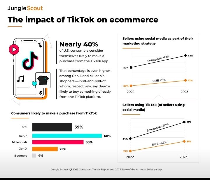 TikTok E-commerce Marketing...