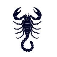 Blog Scorpion