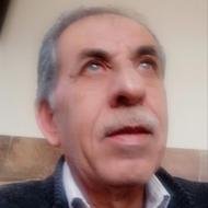 Mahmoud Abo Shaheen
