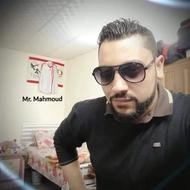 محمود محمد