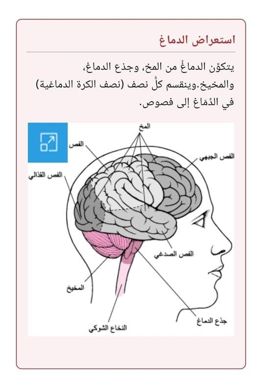 #neurologist #brain